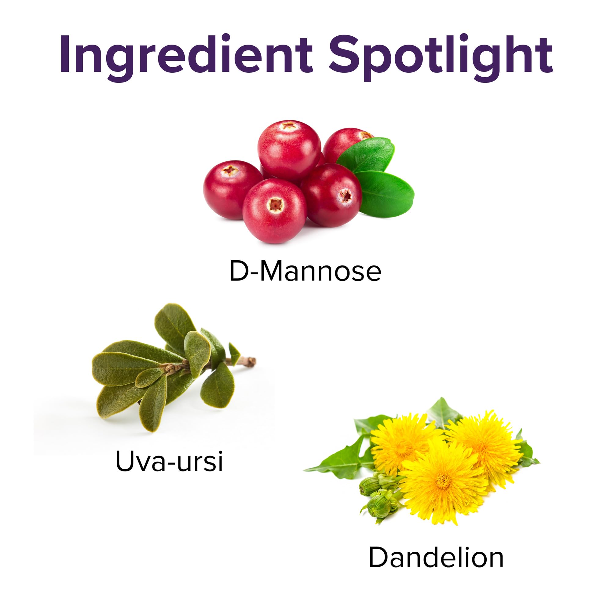 Vibrant Health U.T. Vibrance D-mannose, ingrédient naturel pour soutenir la santé urinaire.