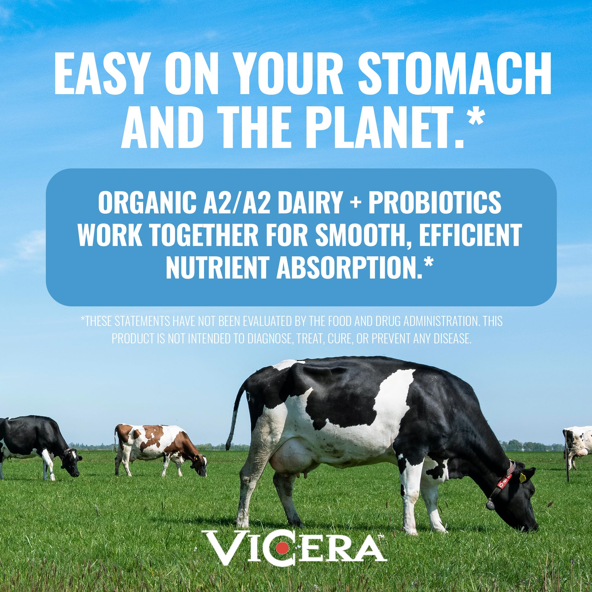 VICERA A2 Protéine Poudre se mélange rapidement au lait ou à l’eau pour votre boisson.