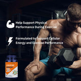 Vicwell Creatine Monohydrate Capsules — format compact de 23 mm, ingestion rapide