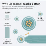 Vida Lifescience Aurora: dose-poudre liposomale, mélange facile et absorption accrue.