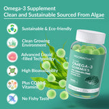 Boîte Vigorintha Omega-3 vert emballage, option végétale sans poisson pour le quotidien.