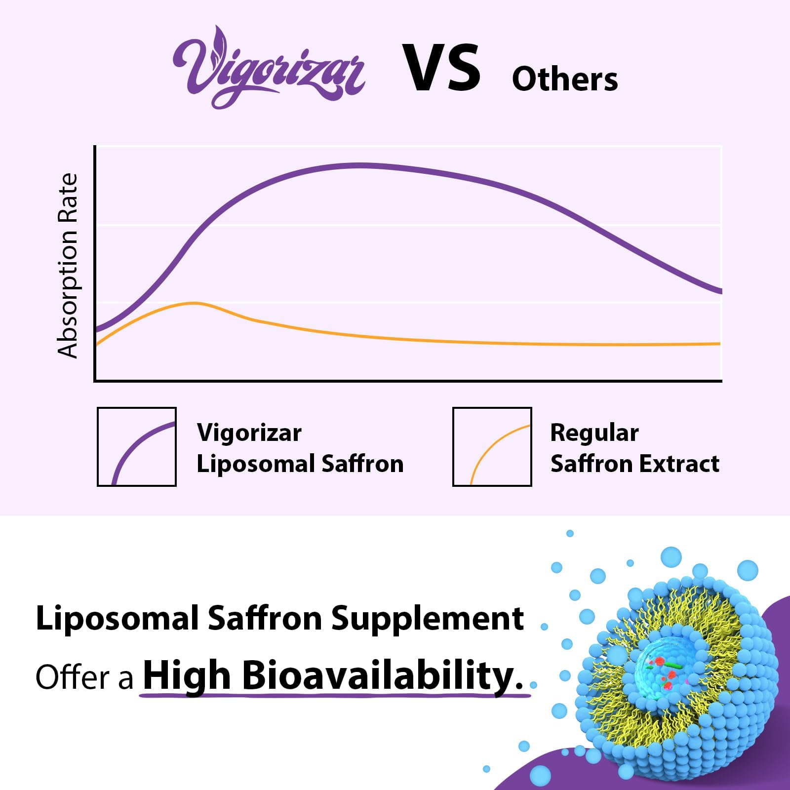 Livraison liposomale saffran: meilleure absorption des composants actifs avec Vigorizar