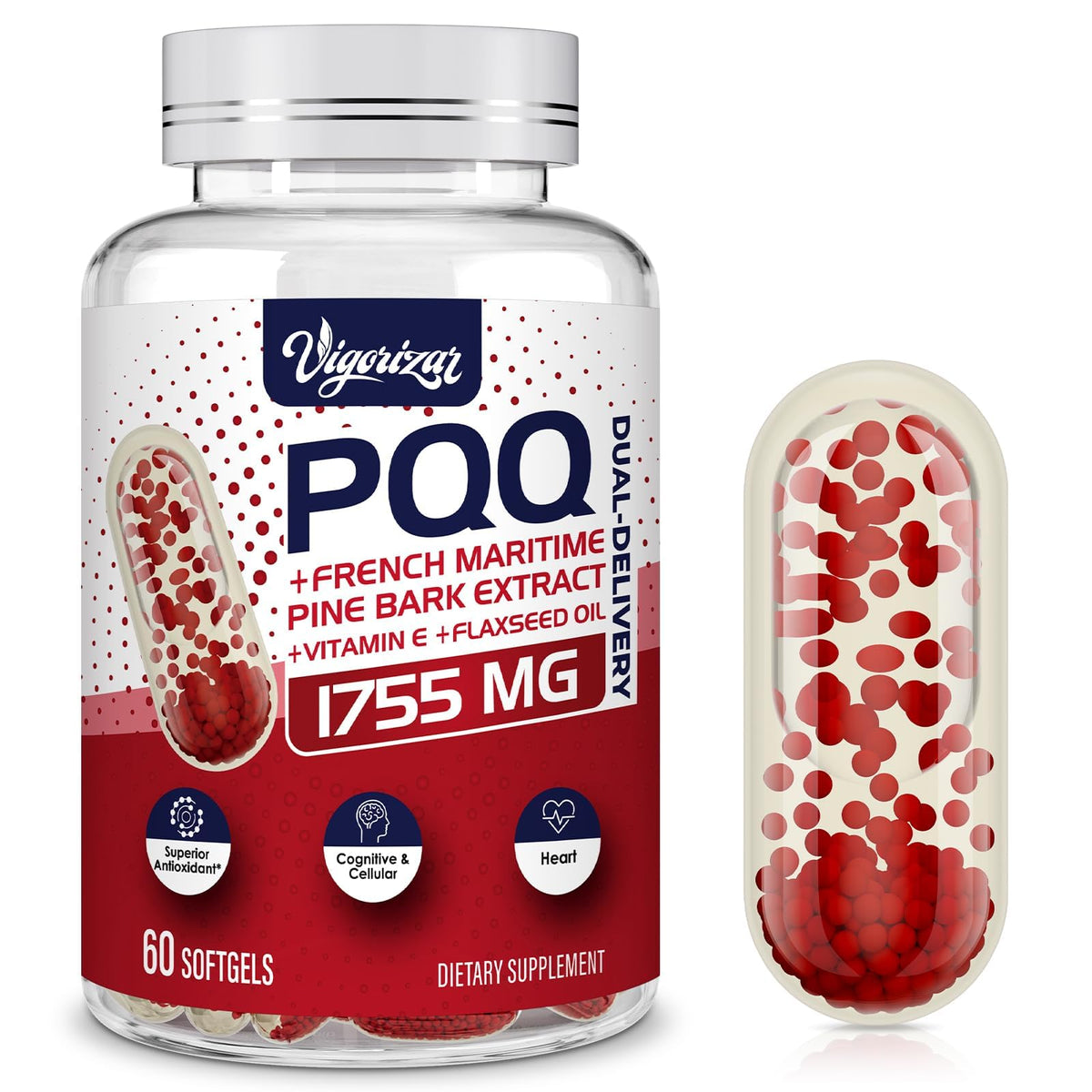 Vigorizar Pycnogeno-bouteille gélules véganes, soutien potentiel à la circulation et à la vitalité.