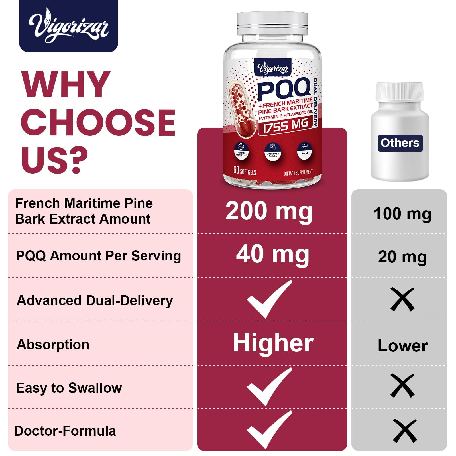 Composition Vigorizar Pycnogeno avec proanthocyanidines, PQQ, huile de lin et vitamine E.