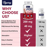 Composition Vigorizar Pycnogeno avec proanthocyanidines, PQQ, huile de lin et vitamine E.