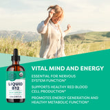 Gouttes Vimergy B12 avec pipette, dosage précis et pratique.