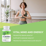 Vimergy Celeryforce : ingrédients et nutriments clés visibles.