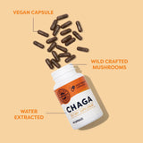 Capsules Vimergy Chaga ajoutées à un smoothie, solution pratique pour l’intégration