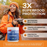 Vimergy Brain Body Protect – prêle et silice de bambou visibles sur l’emballage.