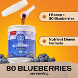 Shake prêt à être mixé avec Vimergy Brain Body Protect pour routine quotidienne.
