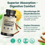 VINATURA Dihydroberberine: digestion facilitée et confort intestinal.