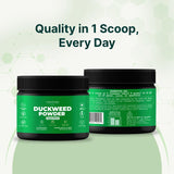 VINATURA Duckweed Certifiée CGMP : procédé fiable et sécurité garantie.
