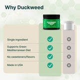 VINATURA Duckweed Protéine Complète : profil d'acides aminés équilibré.