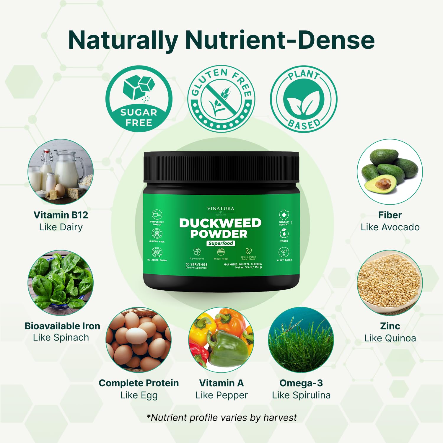 VINATURA Duckweed Salade Rapide : protéines végétales pour repas équilibré.