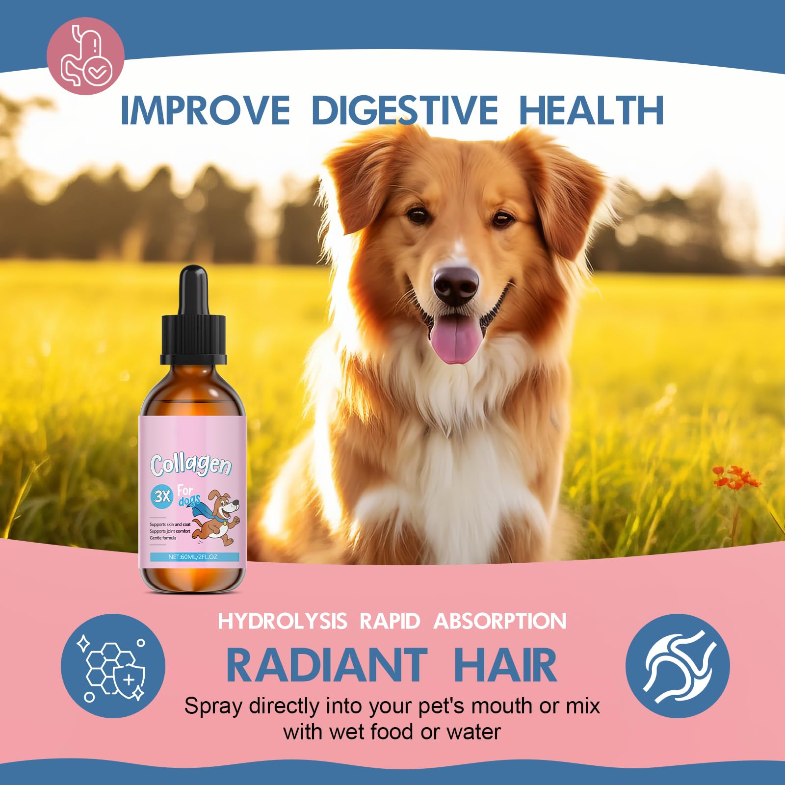 Vincofoo 2PC Healthy Petz Collagen soutien articulations et vitalité canine.