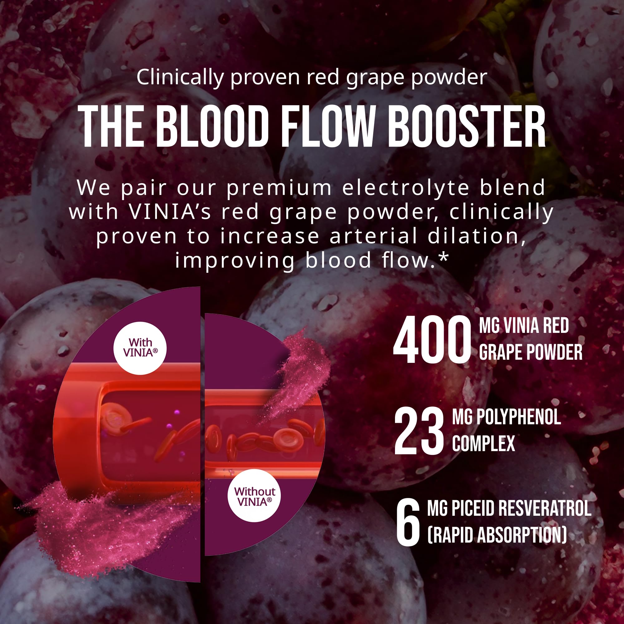 VINIA emballage 30 sticks, pratique et portable pour hydratation au quotidien