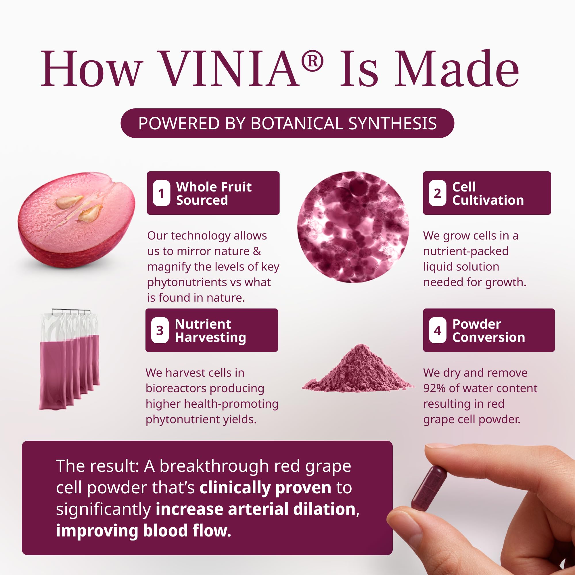VINIA énergie sans stimulants pour vigilance naturelle.