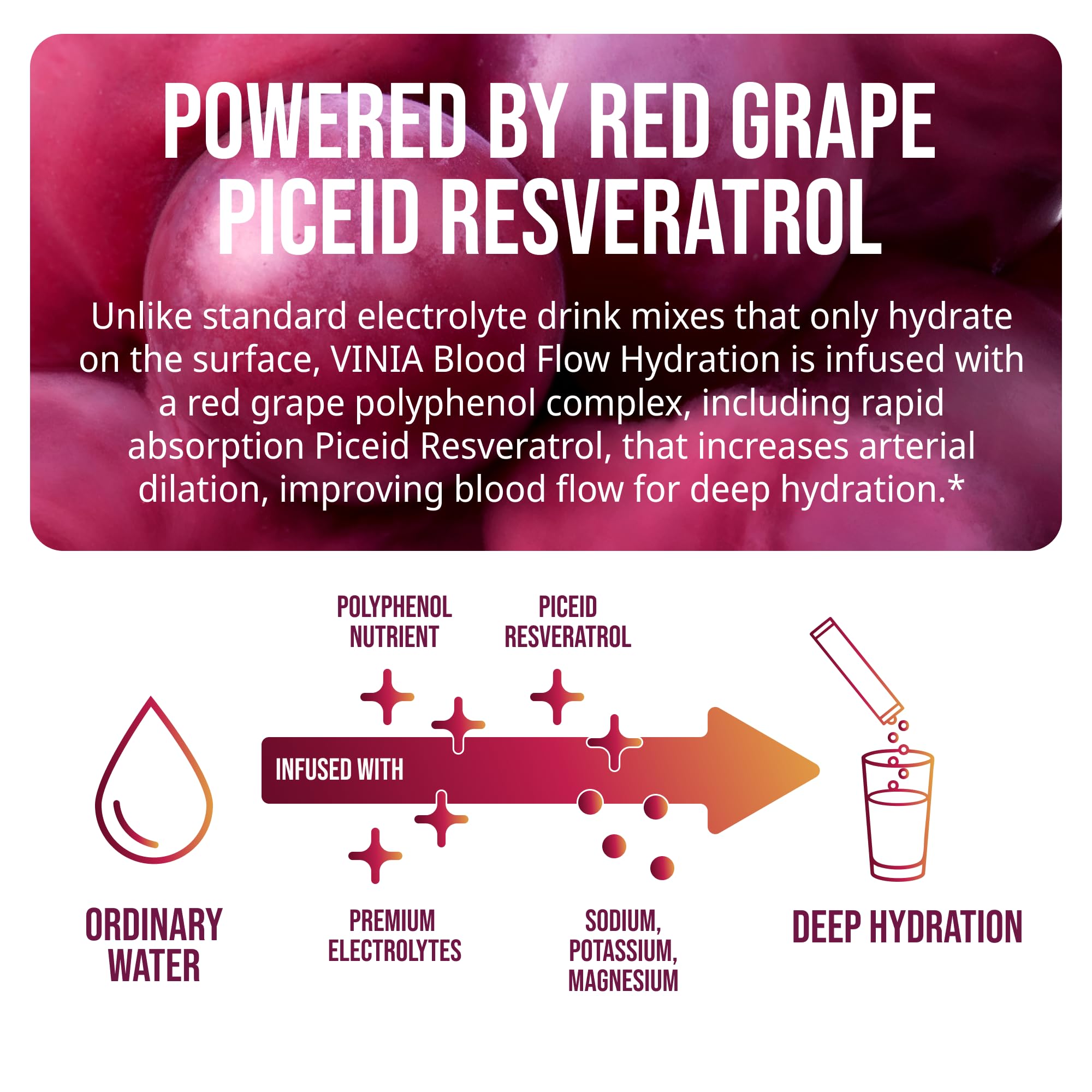 VINIA polyphénols de raisin rouge, gros plan sur les polyphénols et leur couleur