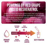 VINIA polyphénols de raisin rouge, gros plan sur les polyphénols et leur couleur