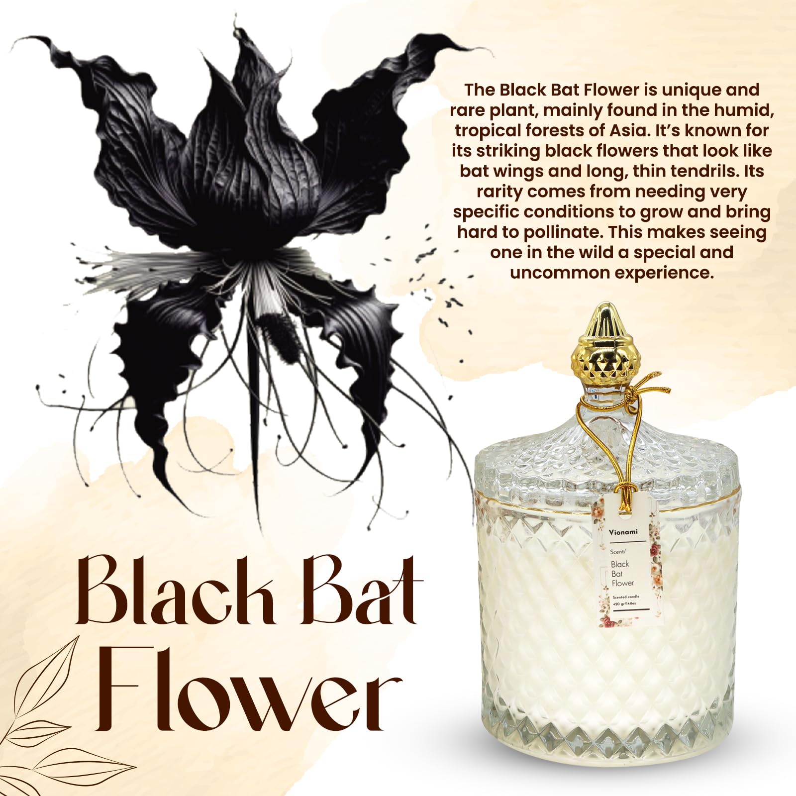 Bougie VIONAMI dans une jarre transparente, décor chic et parfum subtil.