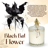 Bougie VIONAMI dans une jarre transparente, décor chic et parfum subtil.