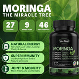 Gélules Vita Field Moringa en prise quotidienne, soutien durable de l'énergie.