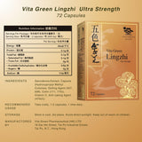 Conseils d utilisation Vita Green Lingzhi pour votre confort quotidien.