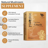 Tableau nutritionnel Vita Green Lingzhi pour suivre votre apport quotidien.
