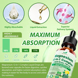 Bouteille Vita PLynxera 2oz — format pratique pour la routine.
