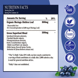 Gouttes Vita Plynxera Moringa et supergreens, mélange antioxydant quotidien.