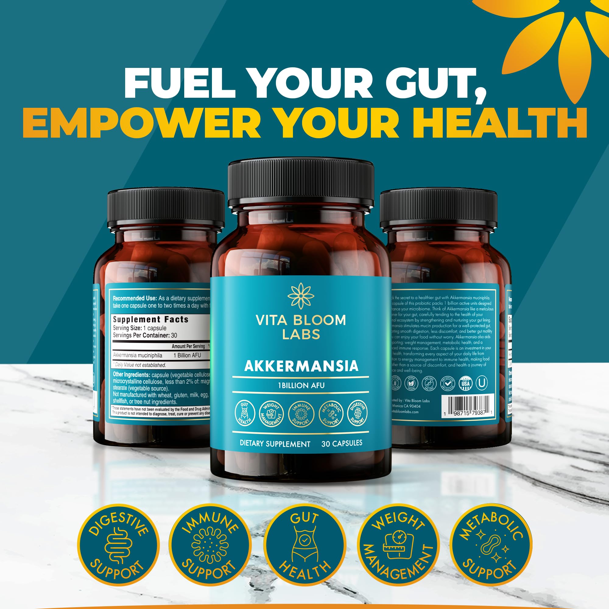 Vitabloom Labs Akkermansia – Capsule, utilisation quotidienne facile et équilibre intestinal