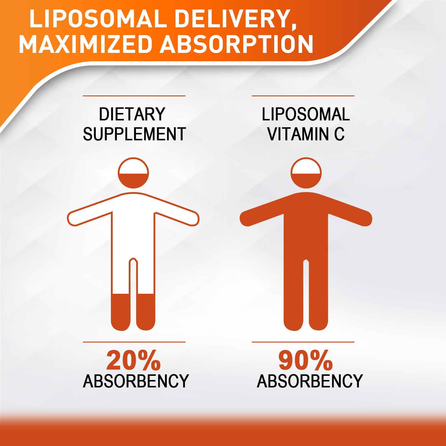 Vitablosom Liposomale Vitamine C 2000mg : absorption élevée pour une efficacité quotidienne