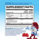 Bouteille Vitaburst Smurfs, formule sans additifs, pratique à emporter.