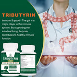 Complexe 11-en-1 de VITACRLLYNMN, gélule multi-ingrédients pour le confort intestinal.