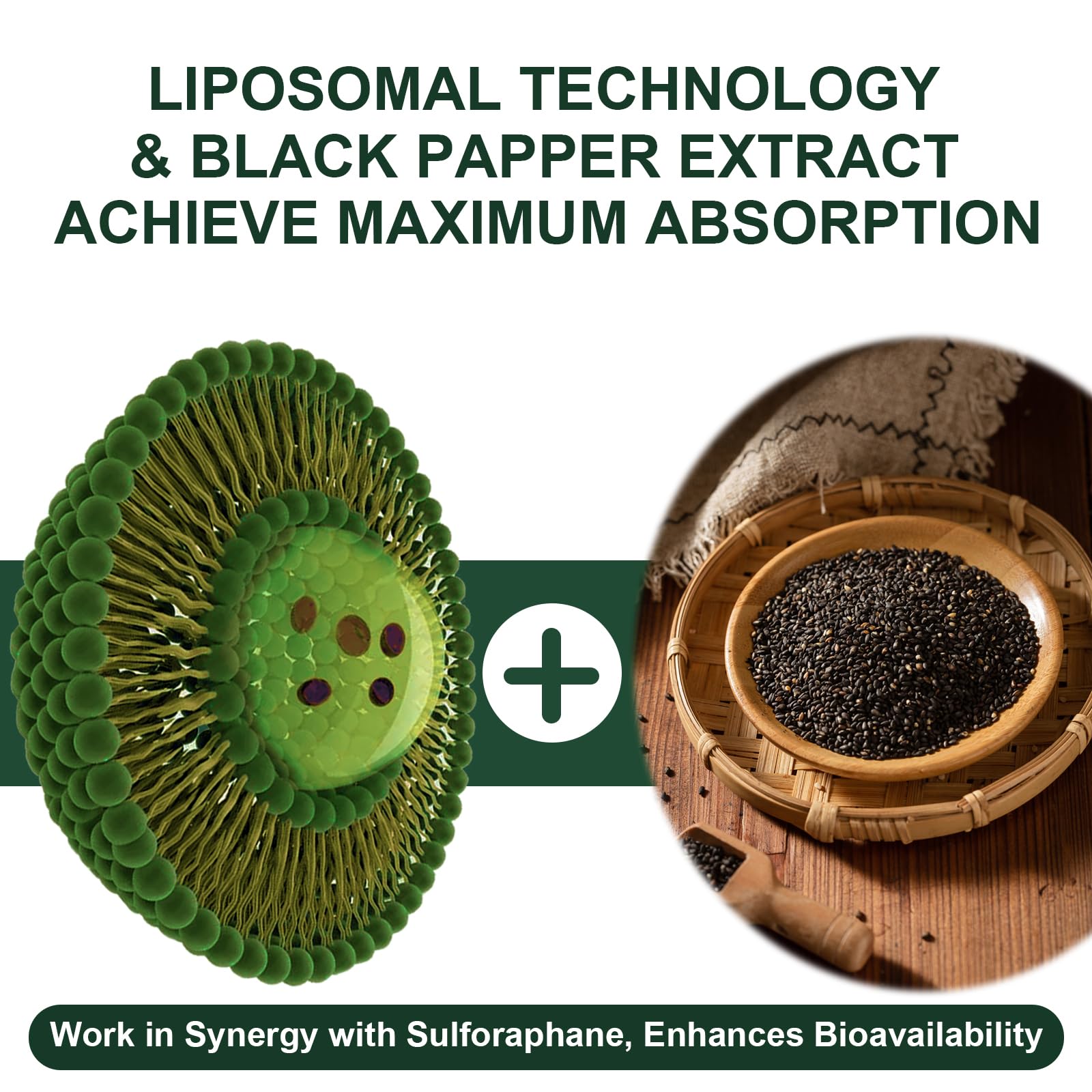 Vitacrllynmn-extraits-brocoli-graines-pousses, source naturelle de sulforaphane.