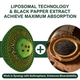 Vitacrllynmn-extraits-brocoli-graines-pousses, source naturelle de sulforaphane.