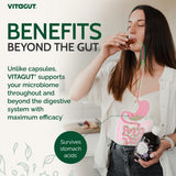 VITAGUT – prébiotiques, probiotiques et postbiotiques pour la digestion.