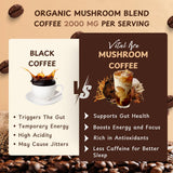 Vital Ace Café champignon criniere-de-lion: clarté mentale et concentration.