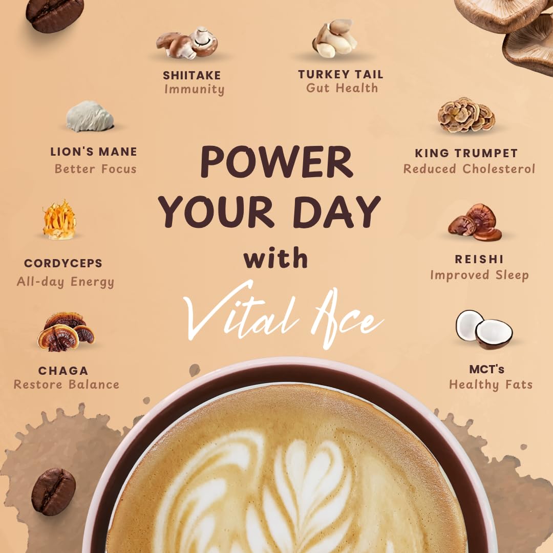 Vital Ace Café champignon tramete-versicolore: profil équilibrant et adaptogène.