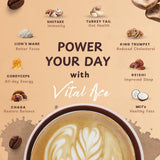 Vital Ace Café champignon tramete-versicolore: profil équilibrant et adaptogène.