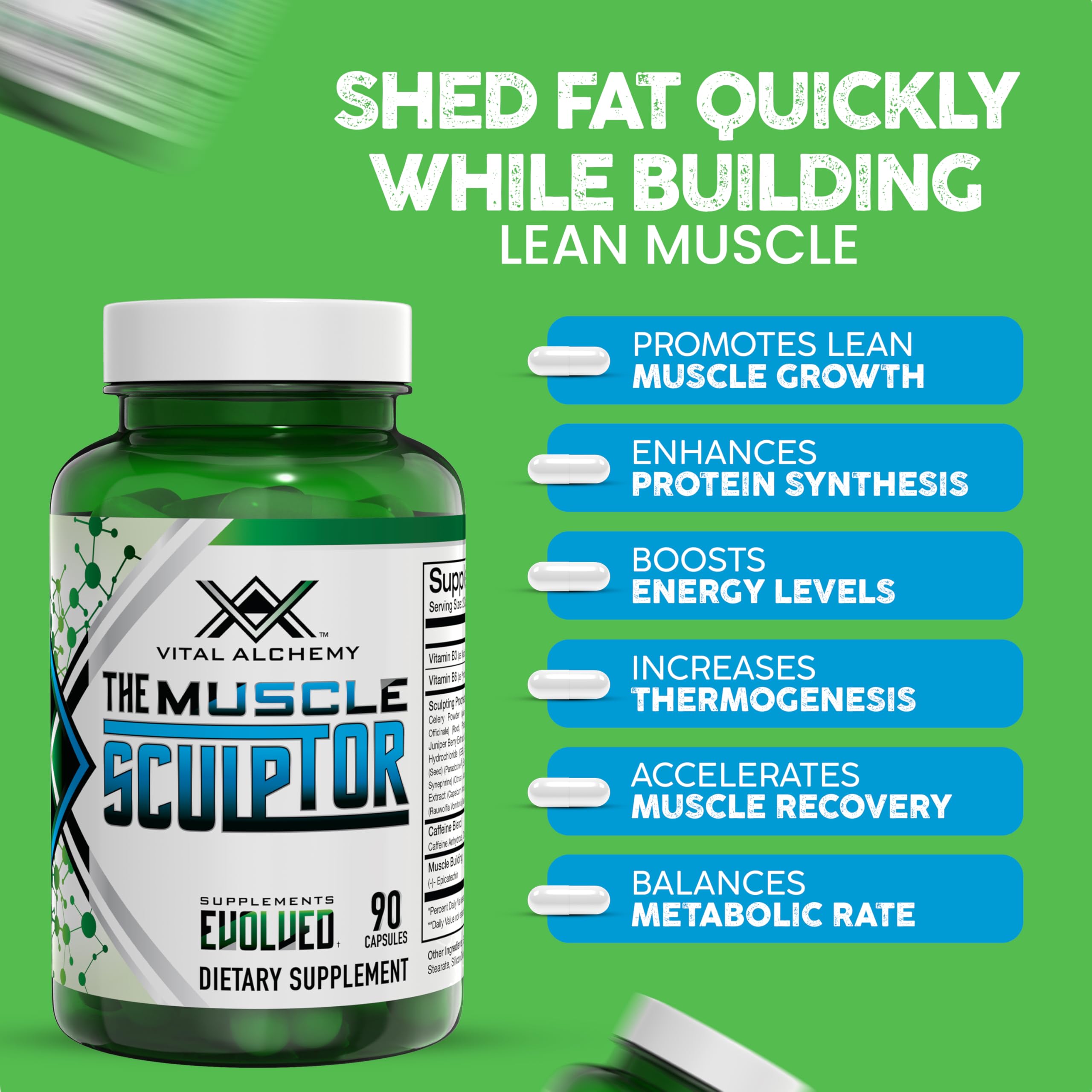 Vital Alchemy The Muscle Sculptor, section ingrédients, mention des vitamines B3 et B6 et épicatechine pour l'énergie et la concentration.