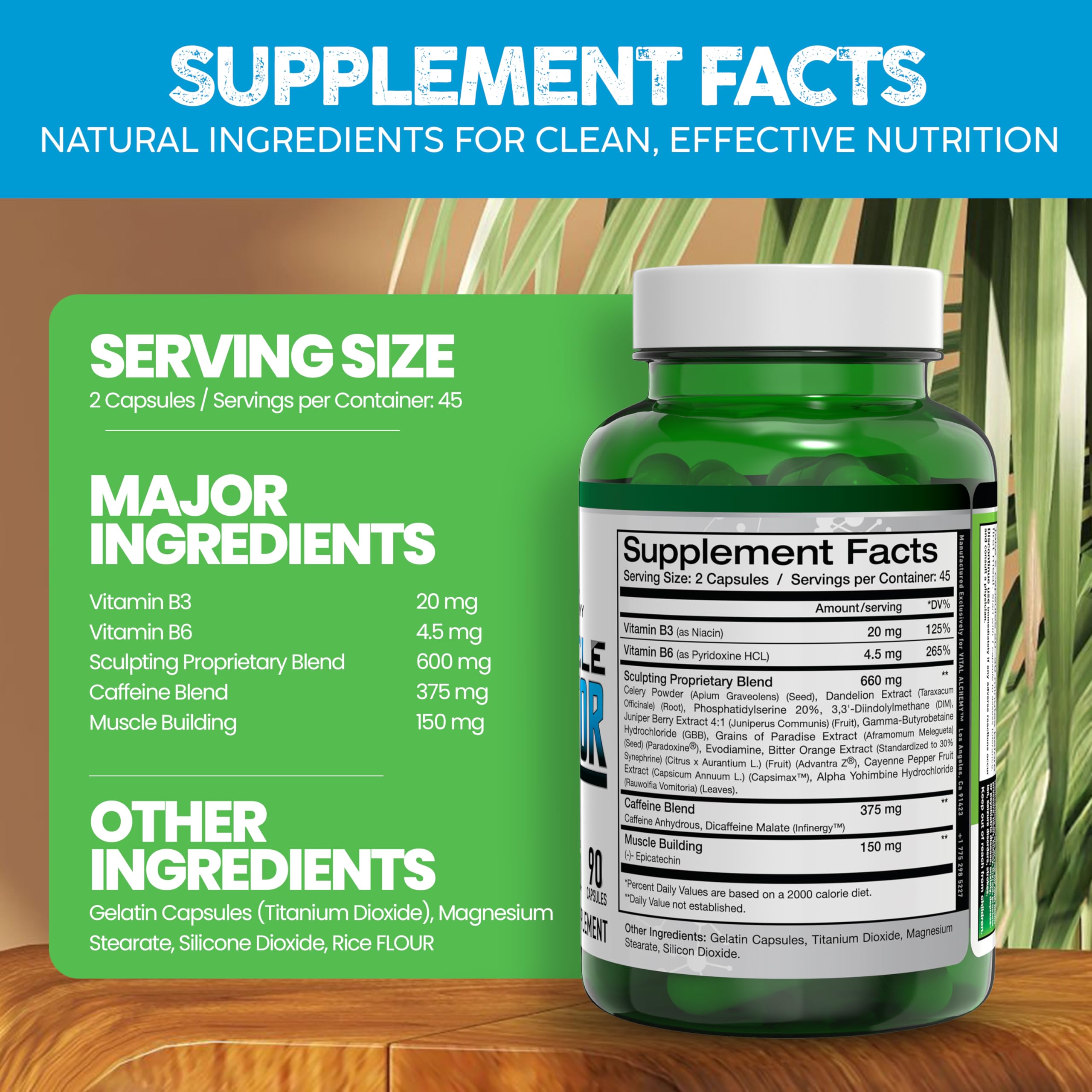 Vital Alchemy The Muscle Sculptor, flacon de phosphatidylserine, soutien potentiel à la récupération et à la résistance au stress.