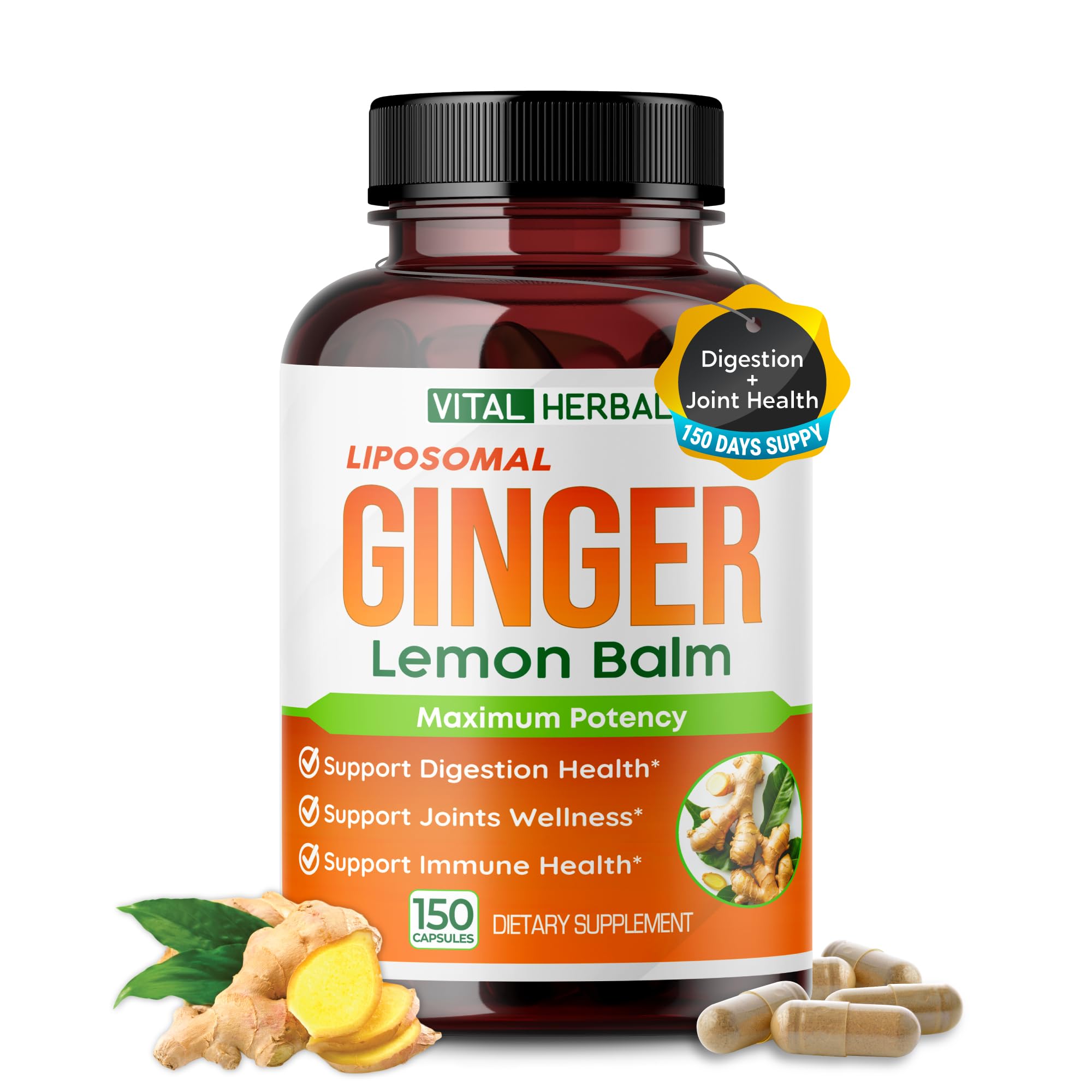 VITAL HERBAL gingembre-melisse-cannelle – bouteille avec absorption liposomale optimisée pour la digestion