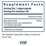 Vital Nutrients capsules vegan 60 capsules, vue de près: faciles à intégrer dans une routine quotidienne.