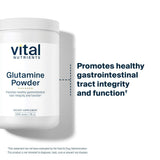 Vital Nutrients Glutamine Poudre: utilisation quotidienne possible pour le soutien du tractus gastro-intestinal