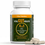 Vital Nutritive Formule 4en1 – soutien digestif global et énergie quotidienne