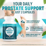 Vital Nutritive Prostate: emballage-boîte, qualité fiable et traçabilité.