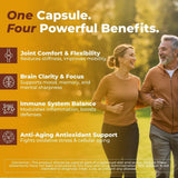 Vital Nutritive : racine de curcuma biologique évoquant des antioxydants naturels.