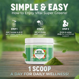 Adaptogènes dans Vital Greens pour soutenir le quotidien et la concentration.