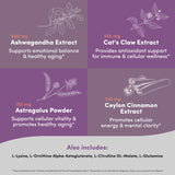Vital Peak Astragalus: plante adaptogène soutenant le bien-être quotidien et l'énergie naturelle.